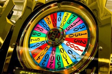 Dragon Tiger Live dealer table with multi-camera view on qqpoker platform